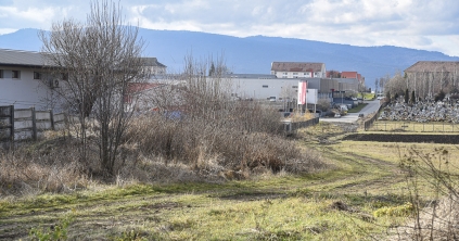 Aszfalt és víz – nem vegyülő elegyek